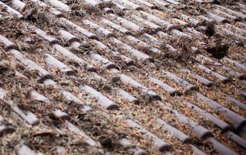 Bridgemary roof cleaning companies